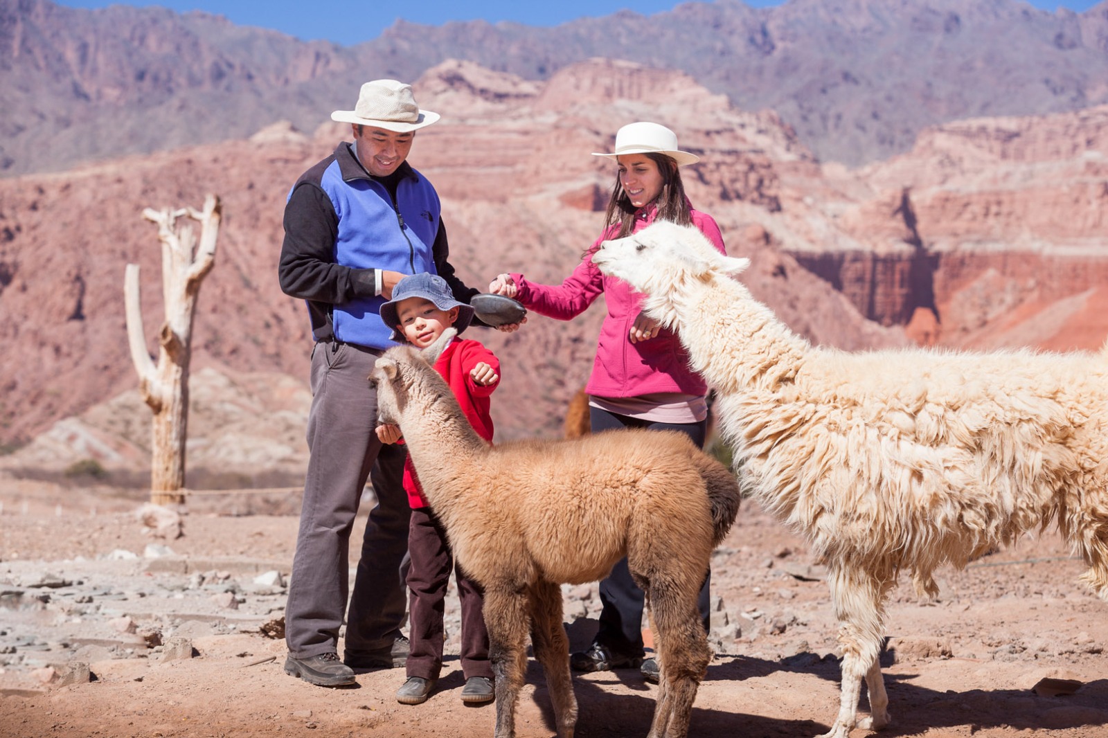 Salta, una de las provincias más emblemáticas del Norte Argentino, impulsa su oferta turística